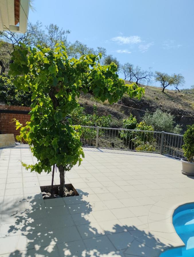 Villa Las Vinas Malaga Zewnętrze zdjęcie