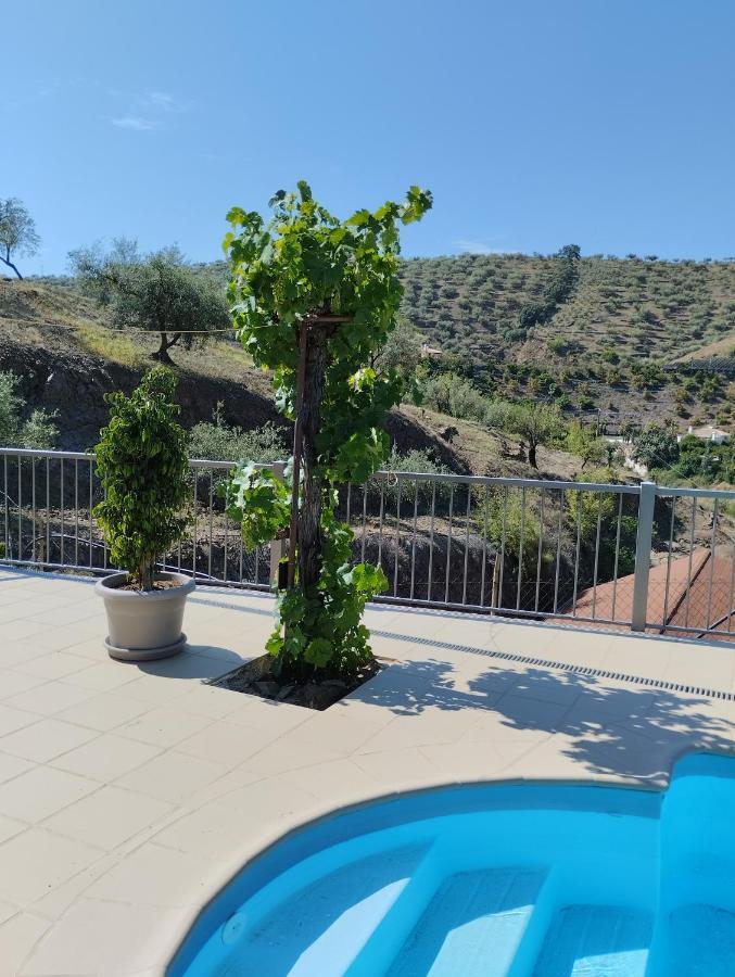 Villa Las Vinas Malaga Zewnętrze zdjęcie